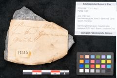 Foto (Objekt + Etikett) von Plantae indet.  (NHMW-GEO-2024-0188-11515)